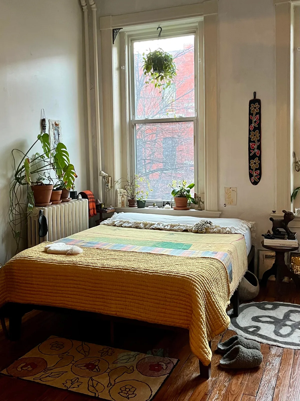 Home Is Where 🐈 Is