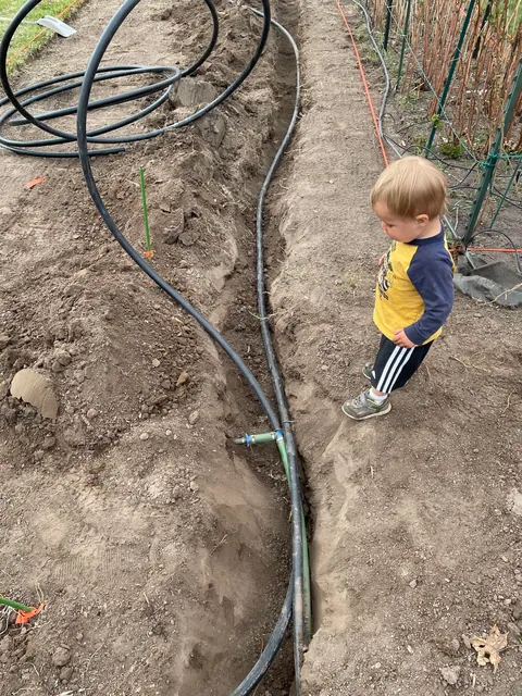 My wife asked for new raised beds so naturally I replaced the entire garden.