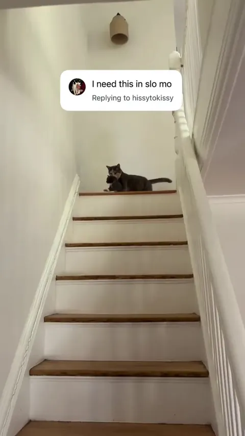 You're doing amazing sweetie