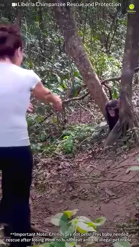 Animals teaches us love ❤️