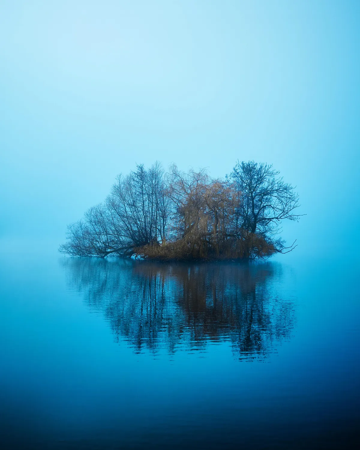 One of my favorite shots, taken on Nikon Z8 in Denmark