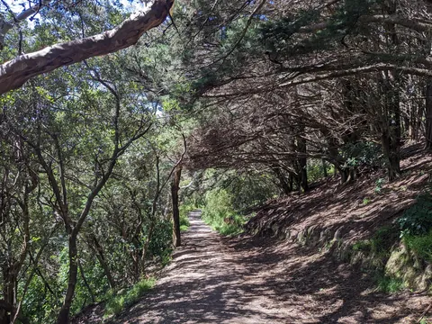 There and Probably Not Back Again: NZ Dec 2025