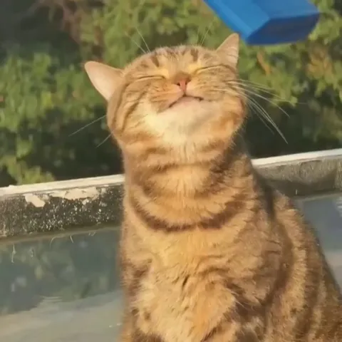 Recharging the brain cell