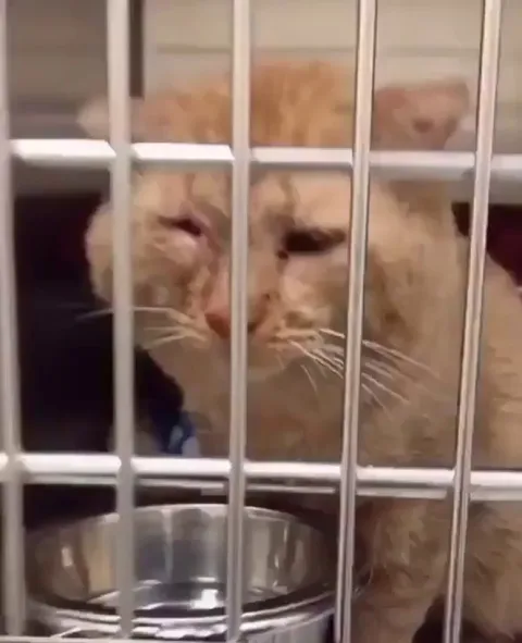 Thanks for giving me a chance.