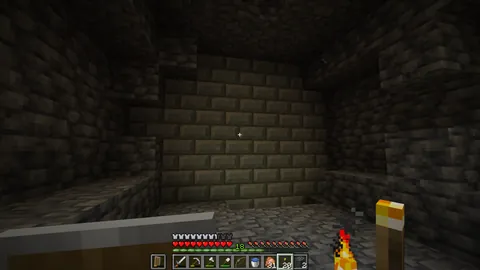 How wonderful- I went back to my screenshots folder to see where the trial chamber is. I didn't had the F3 menu on.