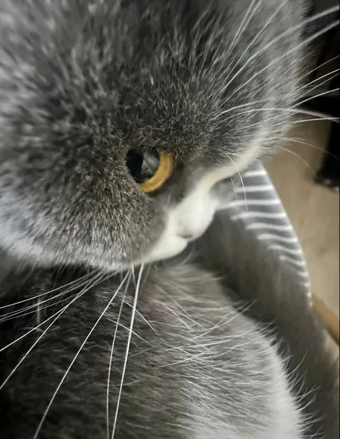 I have to say, he's really cute.