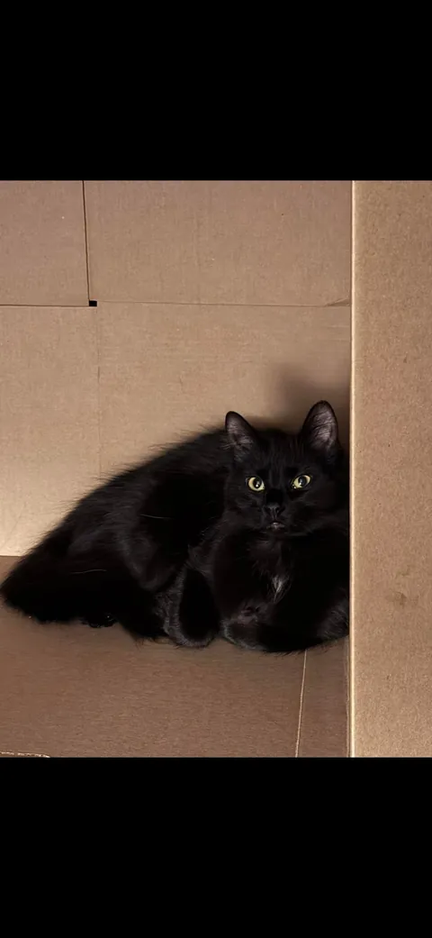 I’m abroad for ten days and I miss himmmmm