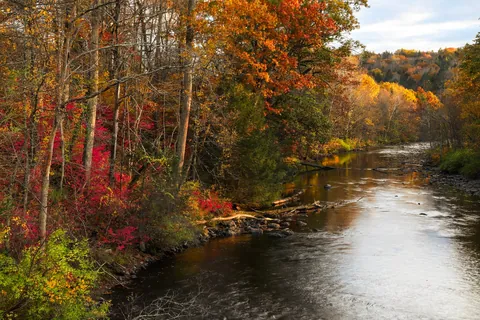 Late Fall in Connecticut