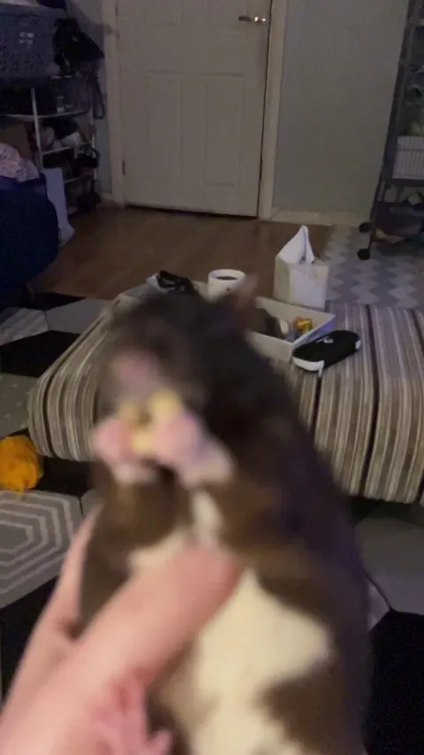 Enjoy slow mo munching