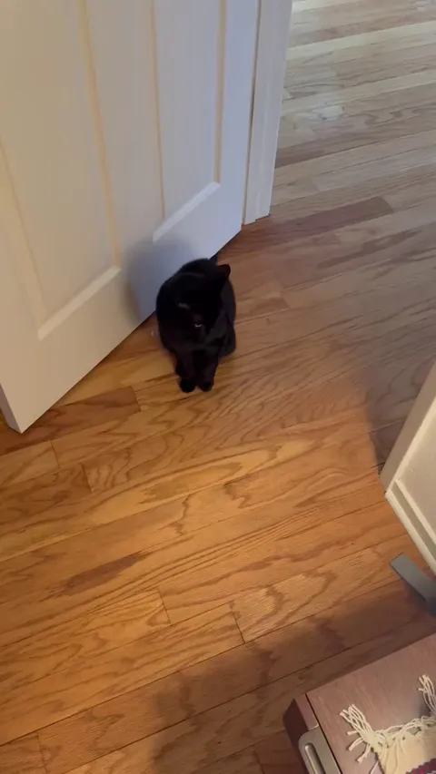 My little girl reacting to “I love you” 🥹