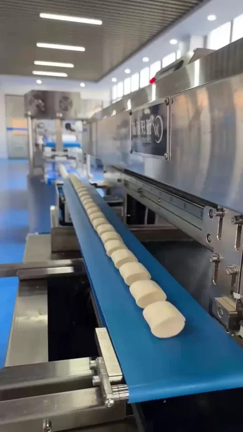 The way these dough roundels fall from the shuttle conveyer belt