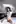 Miyu Aizawa Photobook (New Year’s Holiday SPECIAL 2025-2026 Come Across!)
