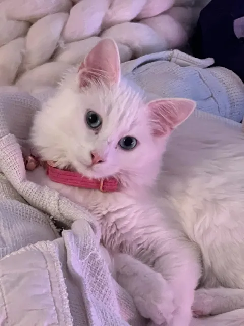 She’s back after a month missing 😭