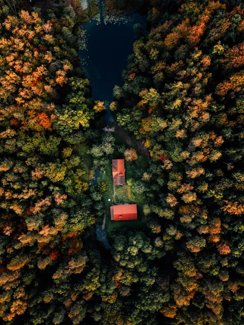 ITAP of a lake in autumn forest