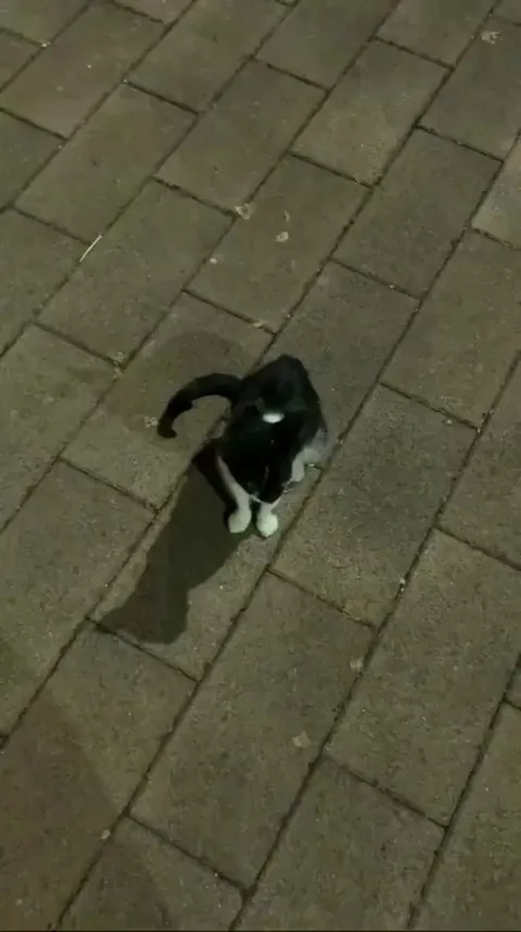 He’s following me and he goes everywhere I go, what should I do/what does it mean?