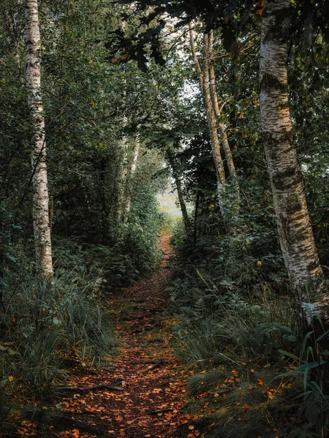 Autumn is already knocking on the door in southern Germany [OC] [3750x5000]