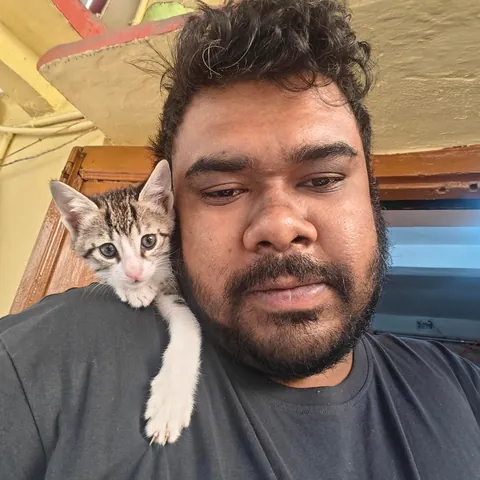 My rescued cat's little kitten trusted me enough for a shoulder ride. Born on 12/12/2025.