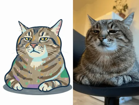 I want to draw, upload a photo of your cat and I'll draw it!