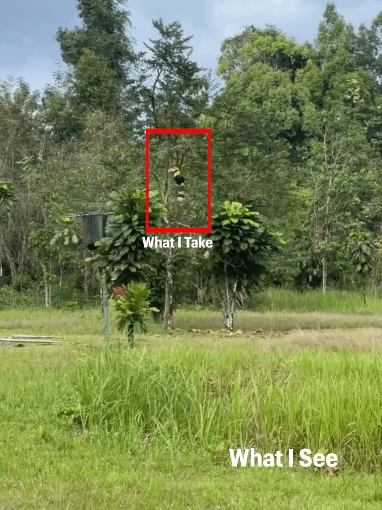 Photographer Shows His POV vs The Photos He Takes.