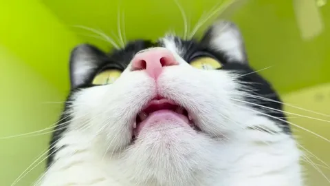 Want to grab her little tongue so bad