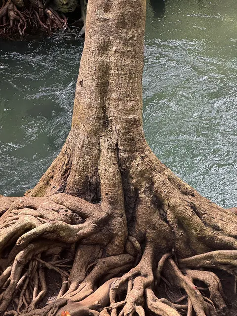 2 weeks in Thailand (Phuket and Krabi)