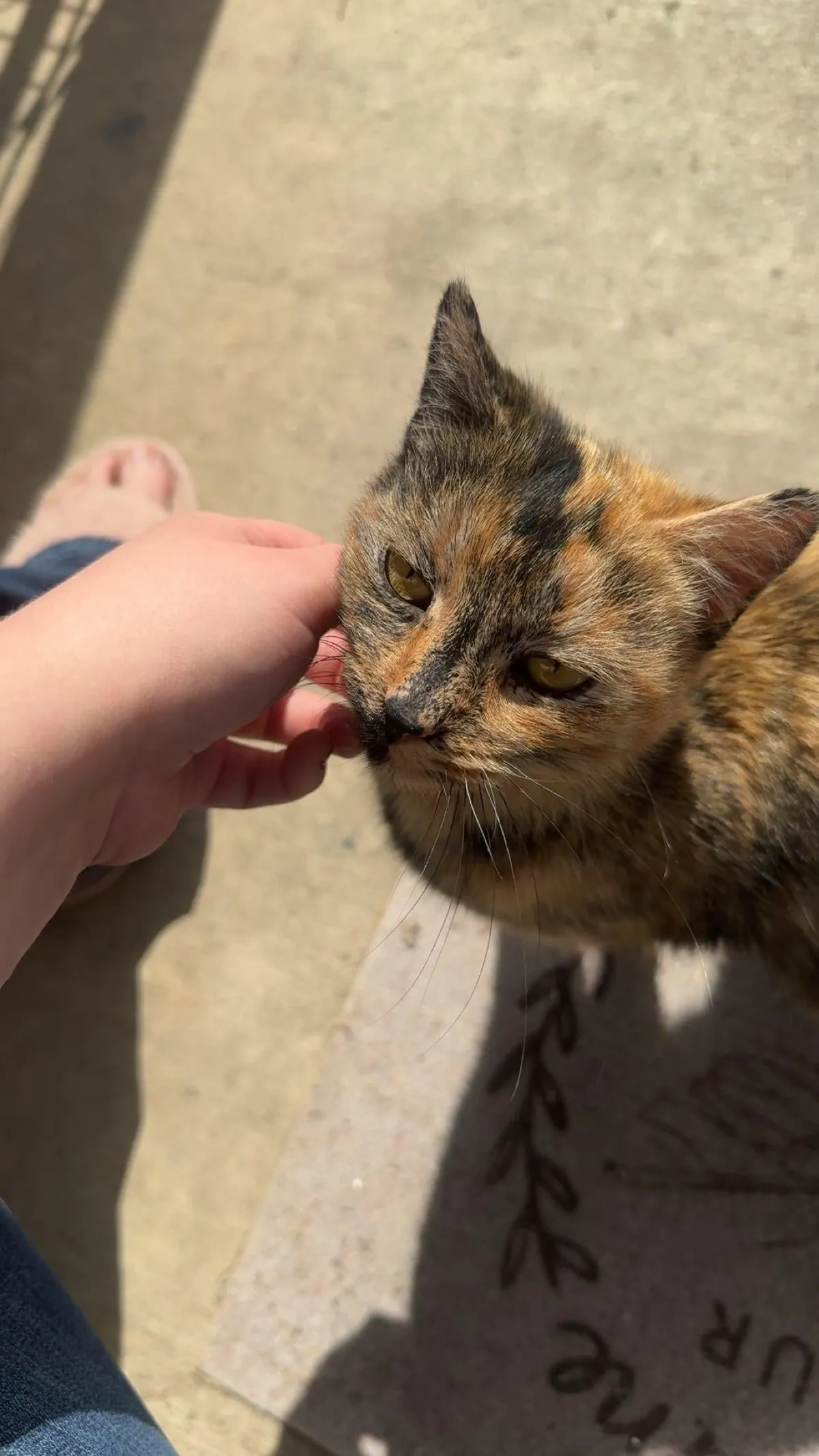 Should I take her in?