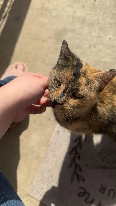 Should I take her in?