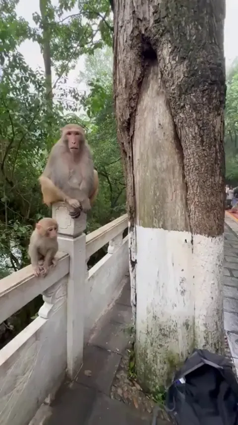 Rejects the Fit, Accepts the Snack