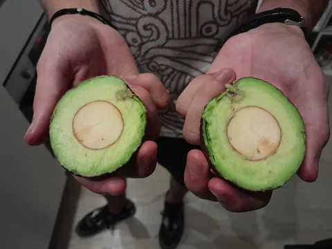 My flatmate just sliced his avocado pit in half