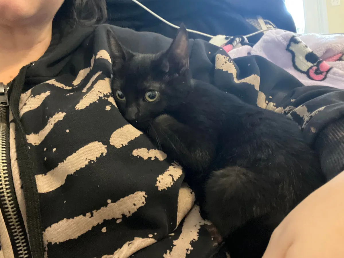 Just adopted Luci this afternoon. I’m obsessed with my baby.