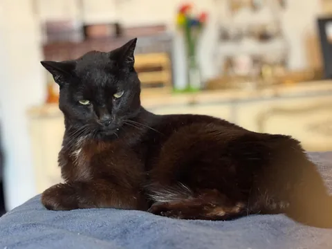 Love of my life beat cancer and turned 18 in Feb! Mr. Frank