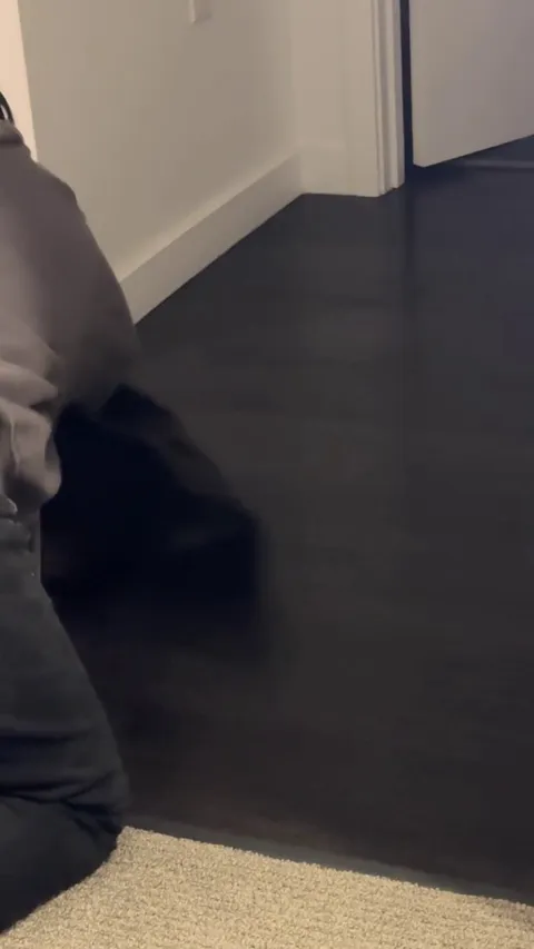 Anyone else’s cat like to be spun?