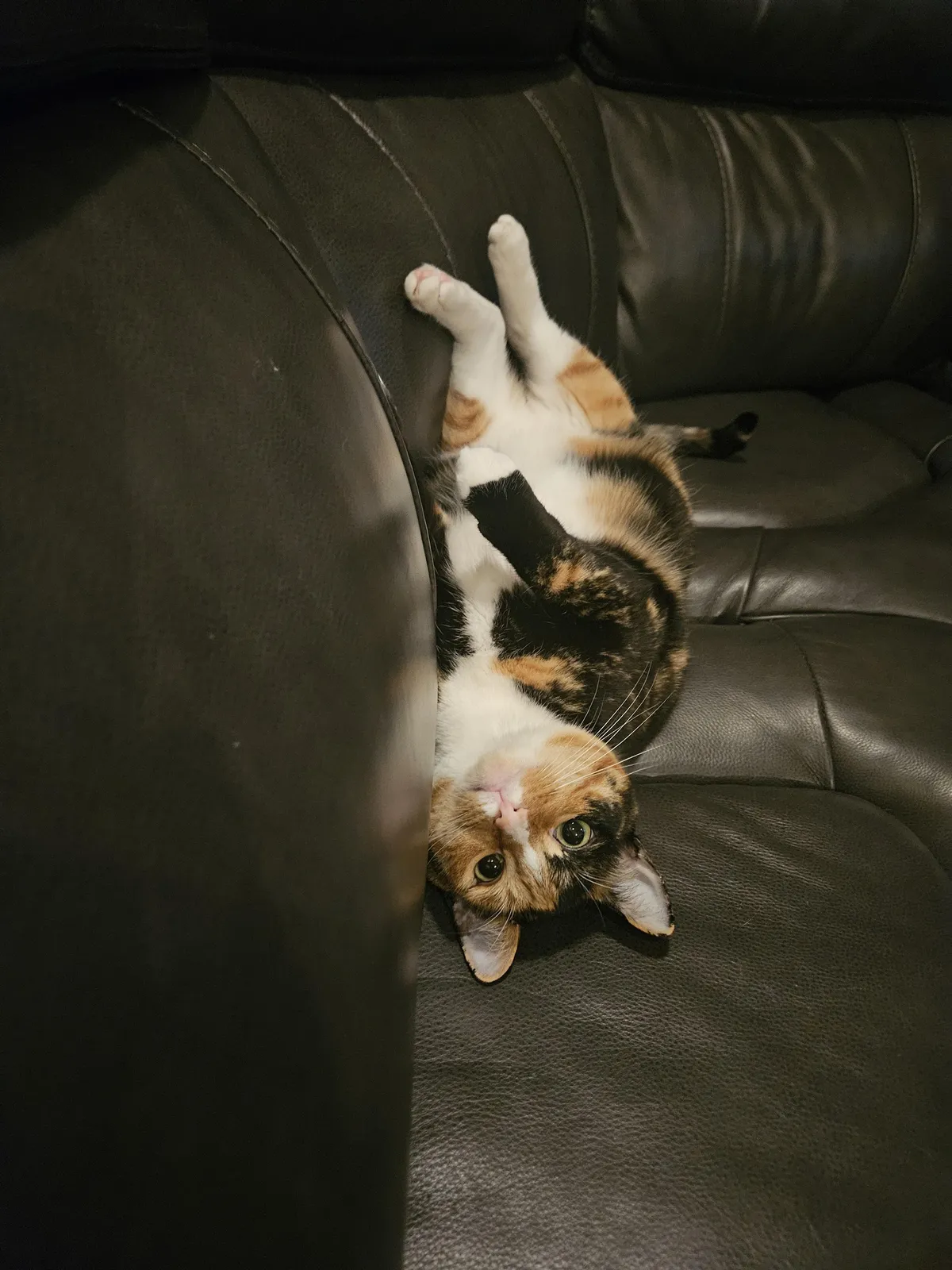 She doesn't understand the word no....