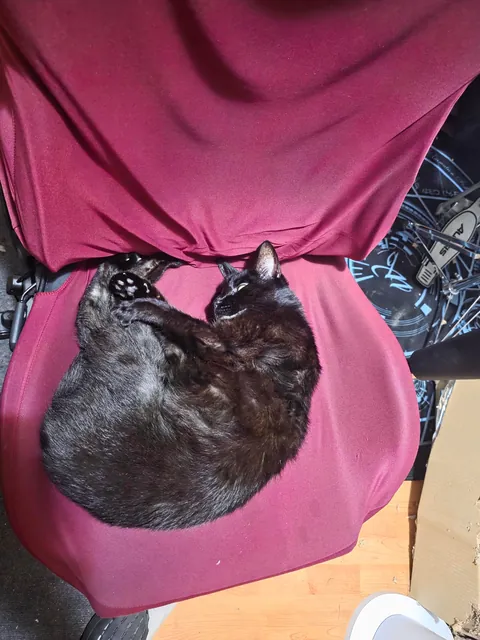 My 11 years old baby