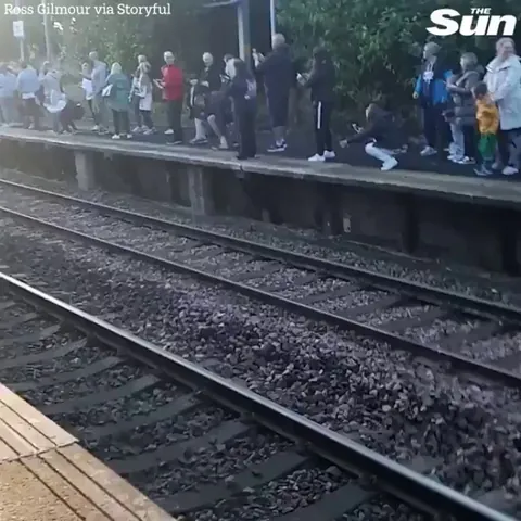 Harry Potter fans queue for hours to see Hogwarts Express only for a commuter train to block the view