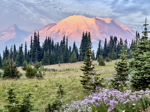 Mount Rainier glowing in the morning light, Washington US [OC] [3874x2906]
