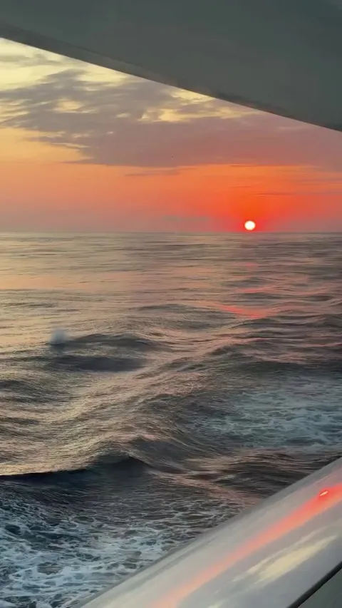 🔥 Pure Happiness in the Waves 🐬