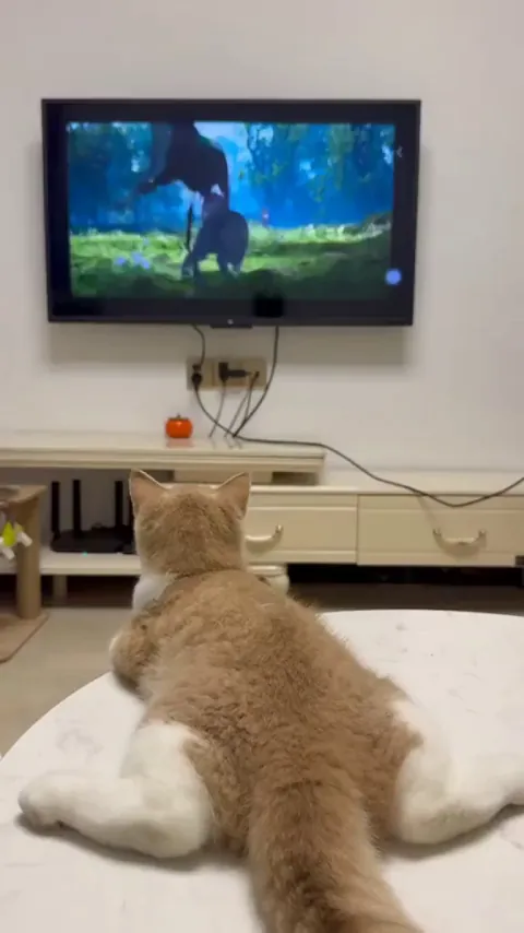 She seems to understand it!