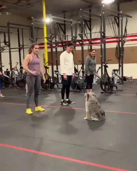 Imagine you're walking into your first CrossFit class and it’s your coach