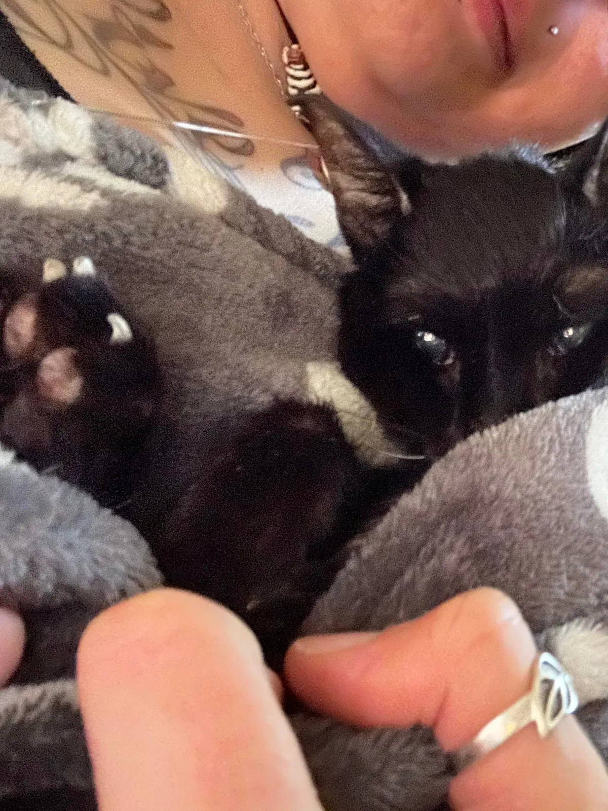 Heaven just got a little more BADASS!!