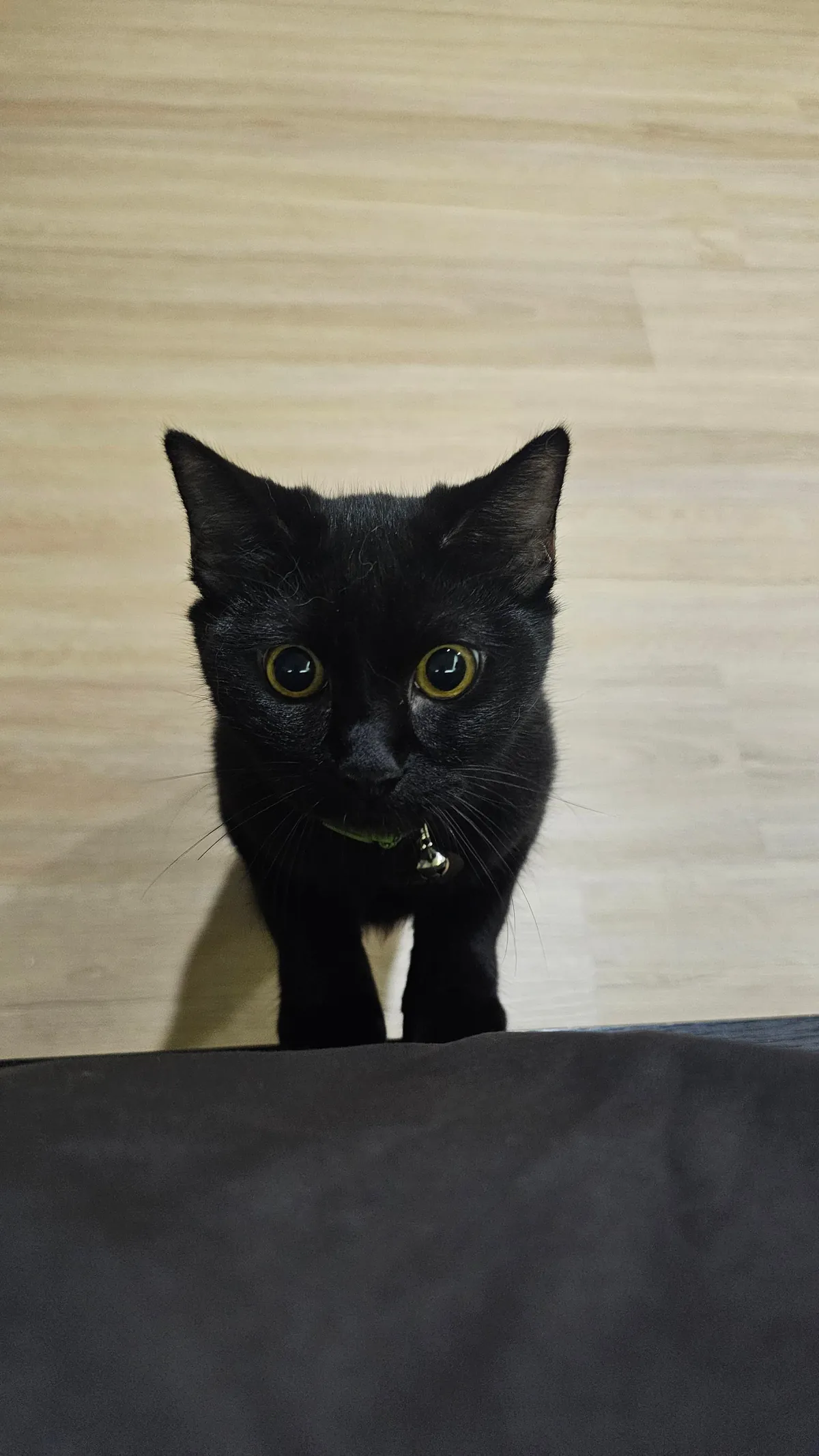 This is my void. There are many like her, but she is mine.