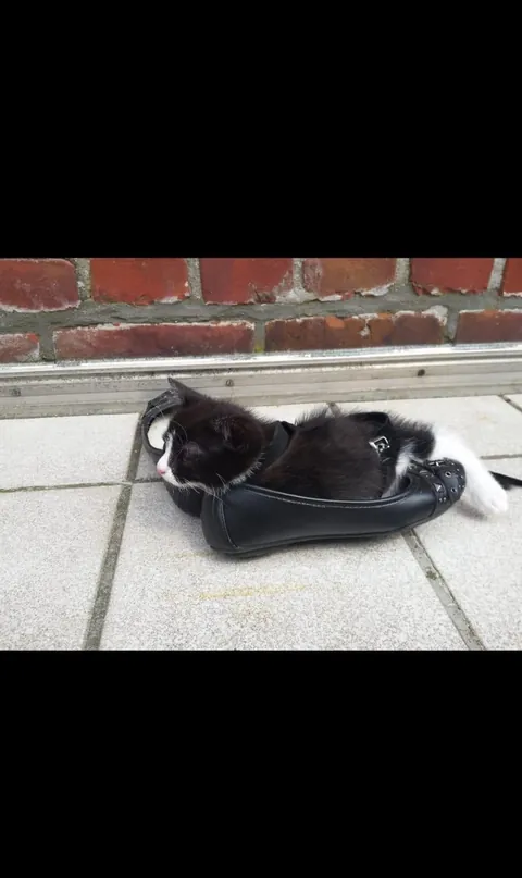 Rest in peace big boy