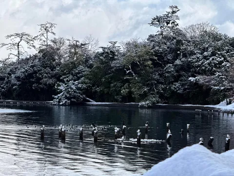 Spent a day in a Japanese fishing village and loved every second of it.
