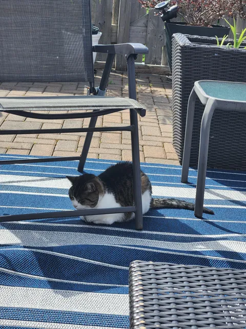 I lost my baby today