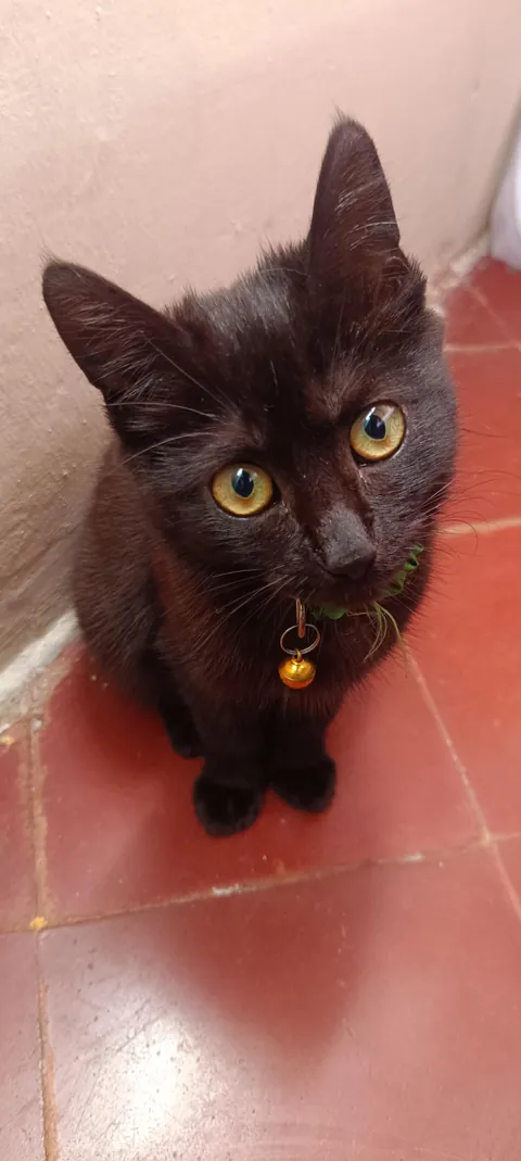 Today marks six months with me.🖤