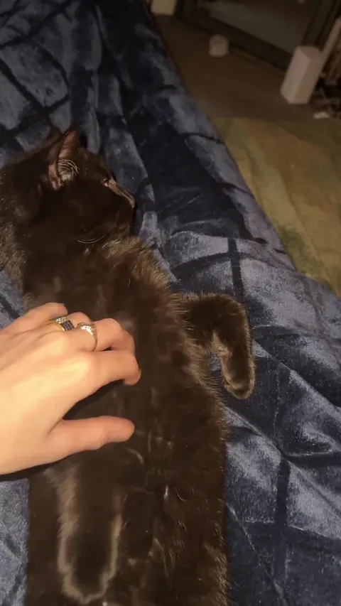 Casually serving face