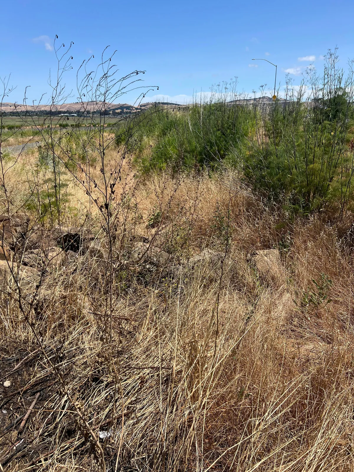 [OC] 2 years ago, I cleaned up this place once covered in illegal dumping. Today, it is still clean.