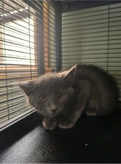 Blueberry— how it started, how it’s going