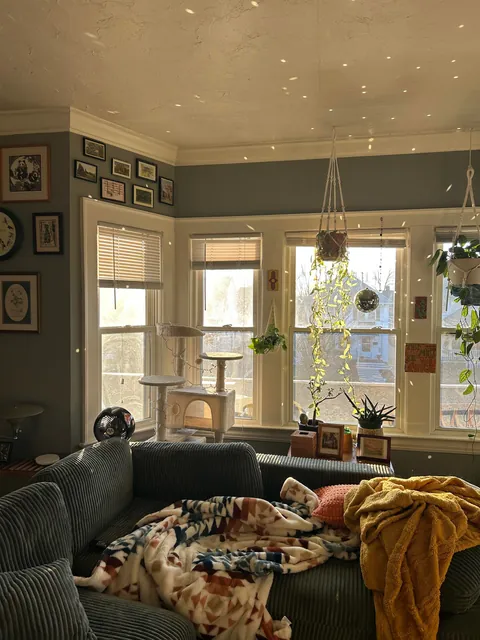 Our light filled living room 🥰
