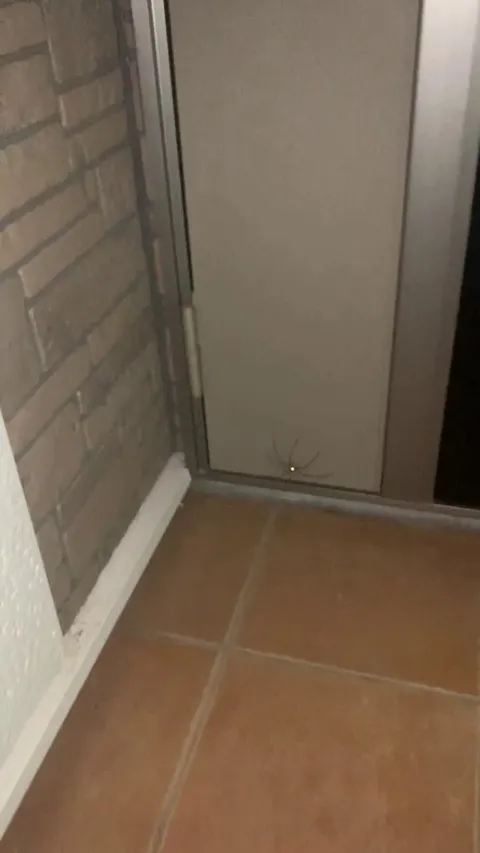 is this dangerous?( I live in japan)